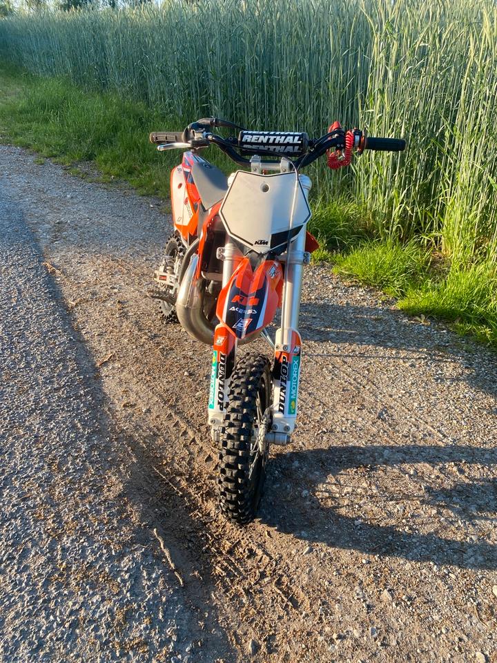 KTM SX 50 Motocross 2015 — rear view