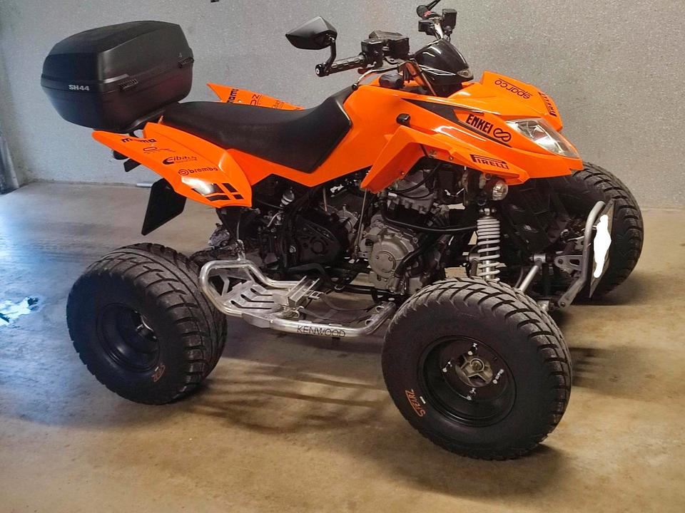 Weitere Motorräder QUAD TÜV NEU 2011 — rear view