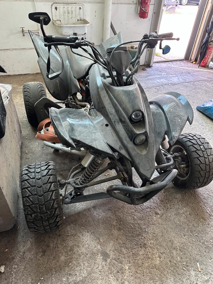 Weitere Motorräder Quad 250 cm 15 ps 2013 — rear view