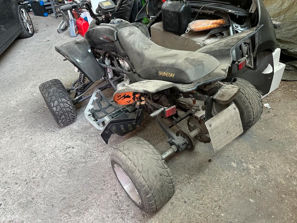 Weitere Motorräder Quad 250 cm 15 ps 2013 — photo 5