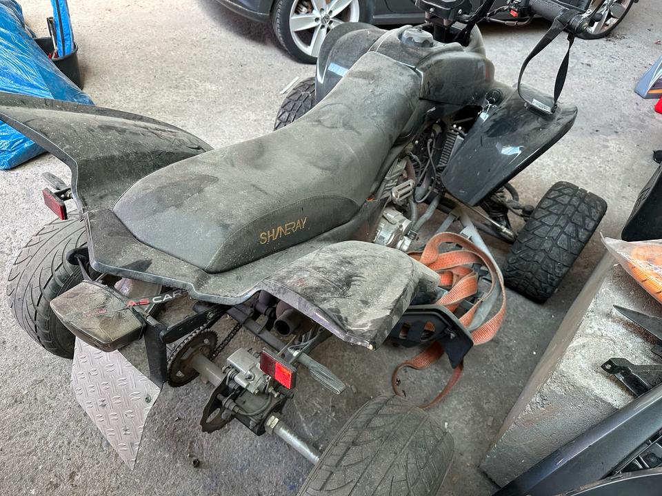 Weitere Motorräder Quad 250 cm 15 ps 2013 — photo 6
