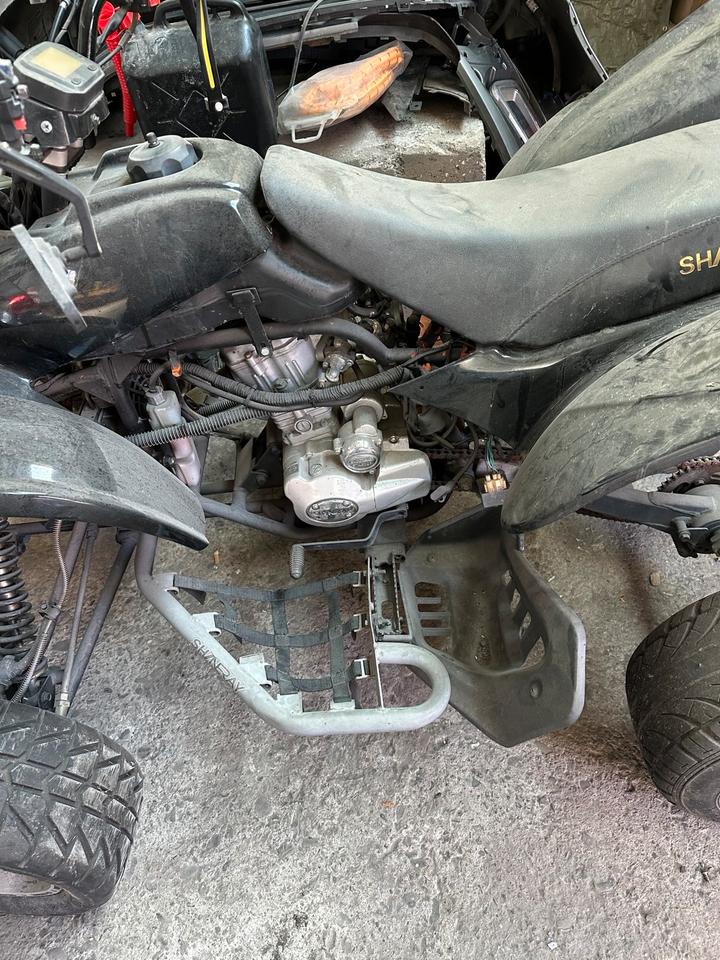 Weitere Motorräder Quad 250 cm 15 ps 2013 — photo 7