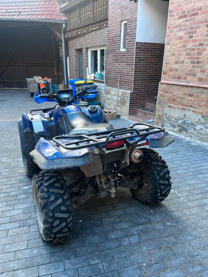 Suzuki King Quad 750 4x4 2010 — photo 10
