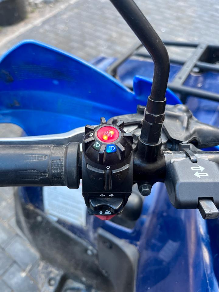 Suzuki King Quad 750 4x4 2010 — interior