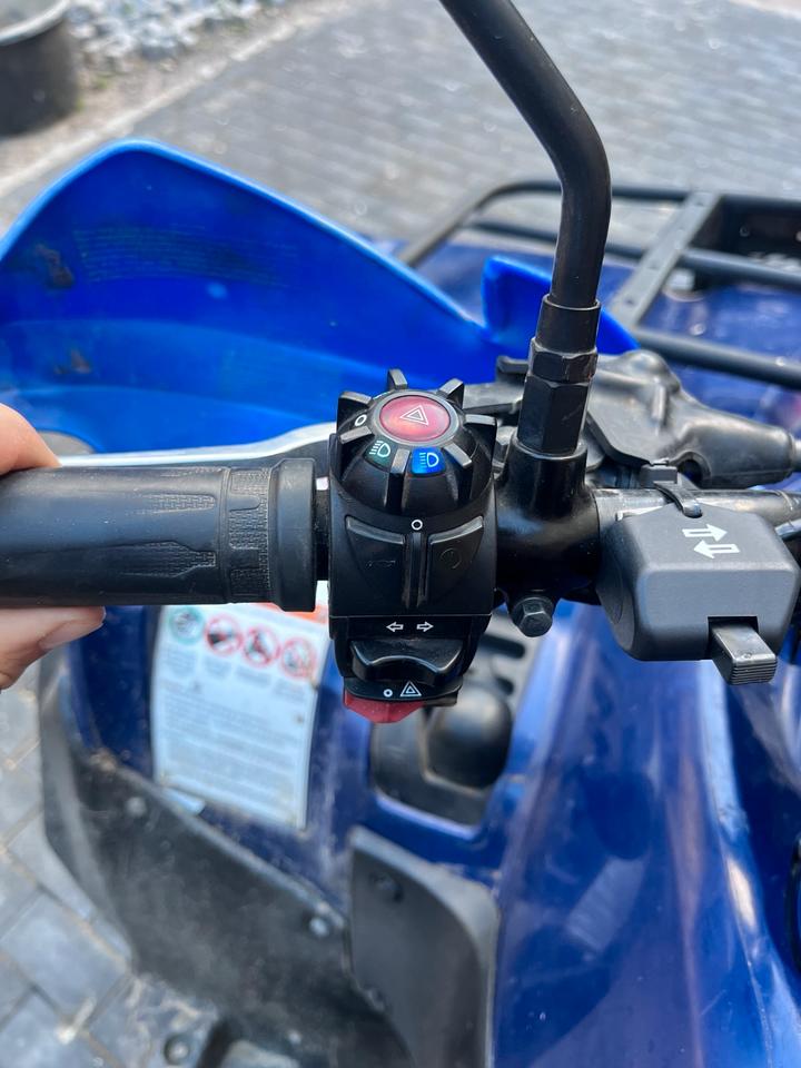 Suzuki King Quad 750 4x4 2010 — engine 750 ccm