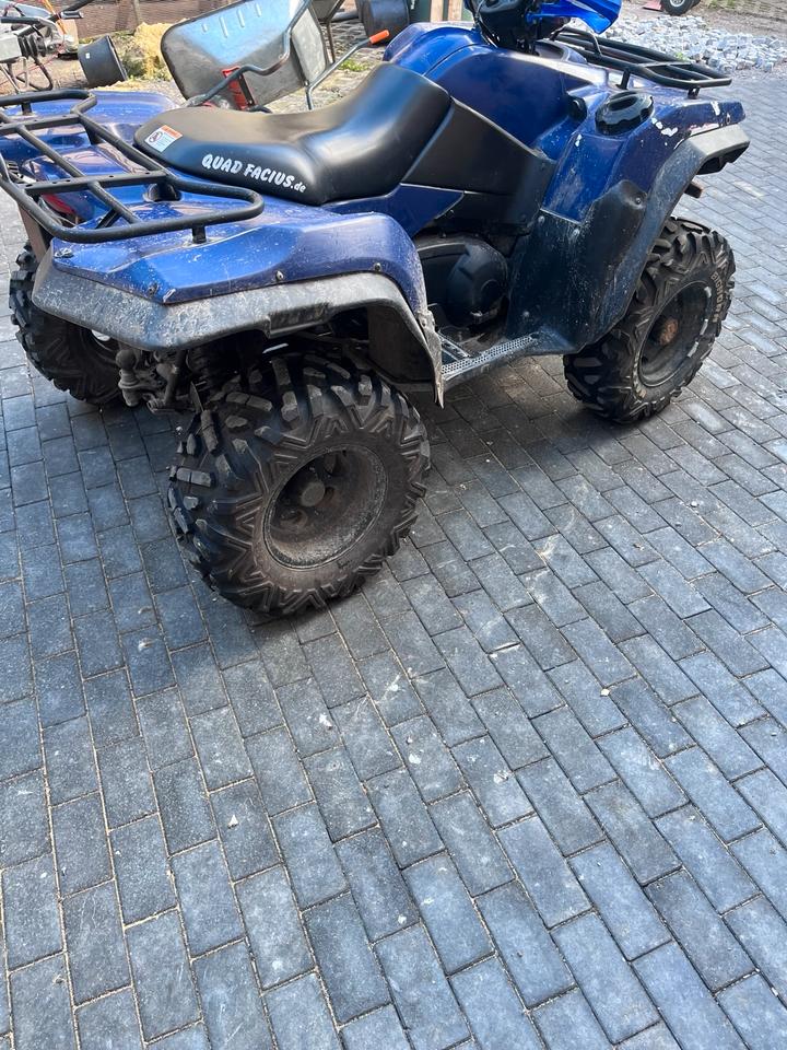 Suzuki King Quad 750 4x4 2010 — photo 9