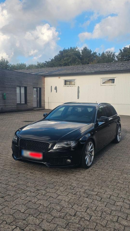 Audi A4 2010 — вигляд ззаду