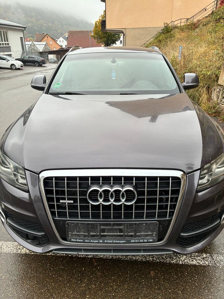 Audi Q5 2010 — rear view