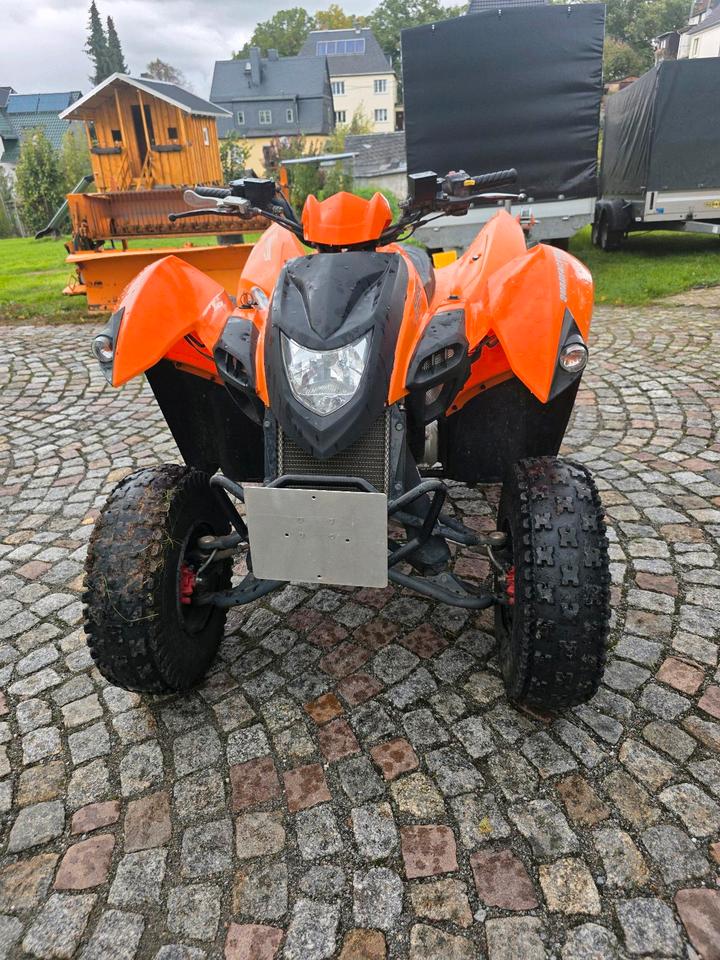 Weitere Motorräder Quad Adly 320 2014 — rear view