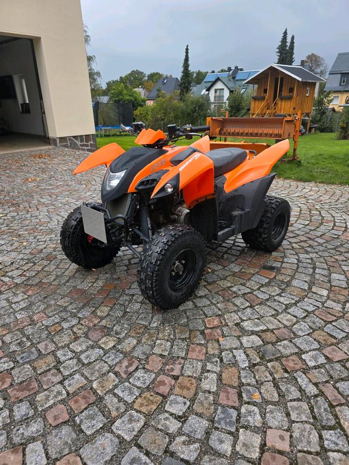 Weitere Motorräder Quad Adly 320 2014 — interior