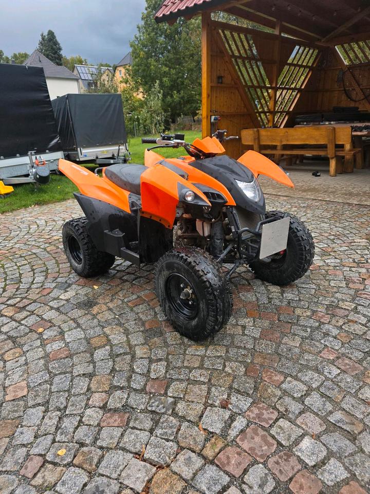 Weitere Motorräder Quad Adly 320 2014 — engine
