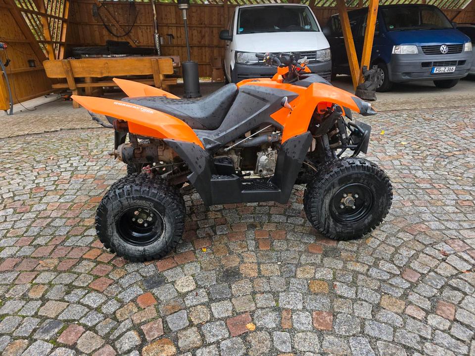 Weitere Motorräder Quad Adly 320 2014 — photo 5