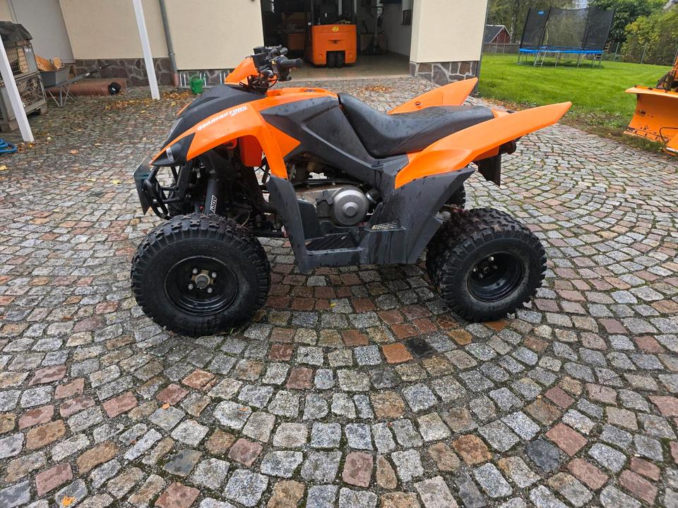 Weitere Motorräder Quad Adly 320 2014 — photo 7