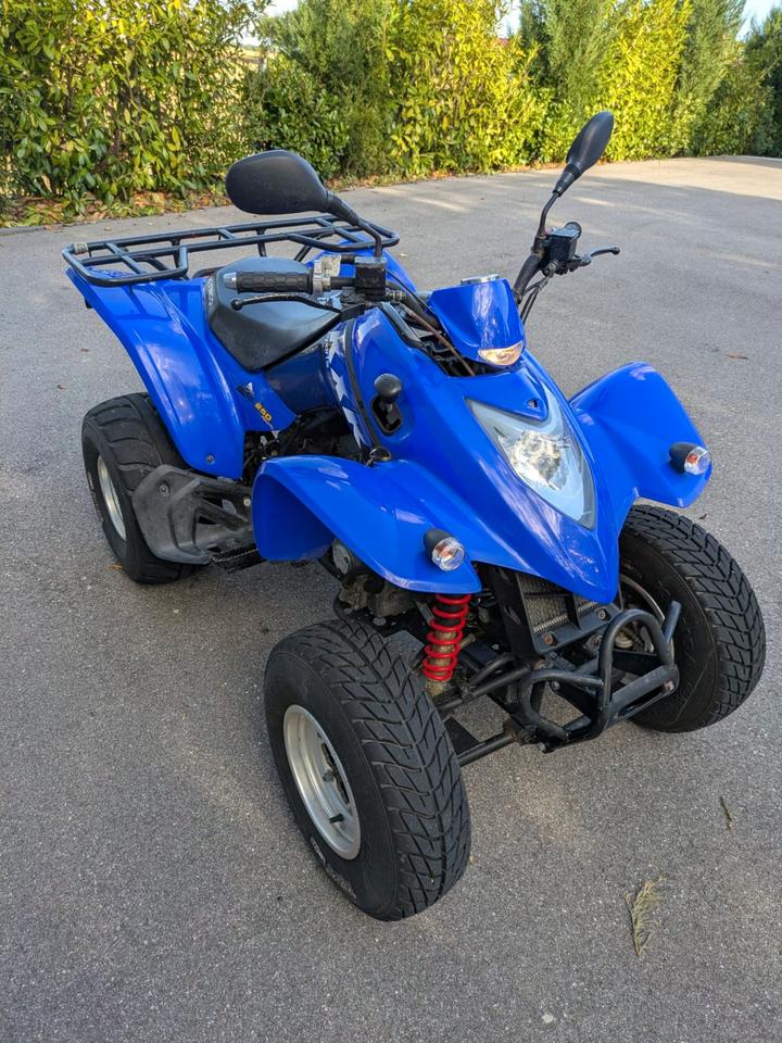 Kymco KXR 250 Sport Quad / ATV - TÜV & Service NEU 2004 — rear view