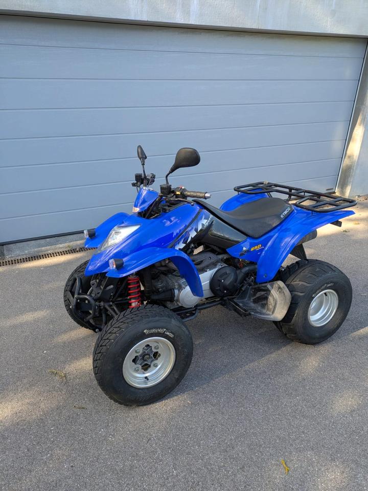 Kymco KXR 250 Sport Quad / ATV - TÜV & Service NEU 2004 — photo 5