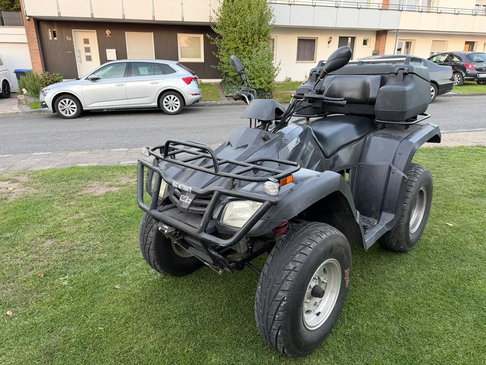 Weitere Motorräder Quad Buyang FA-d 300 kein TÜV, 2009