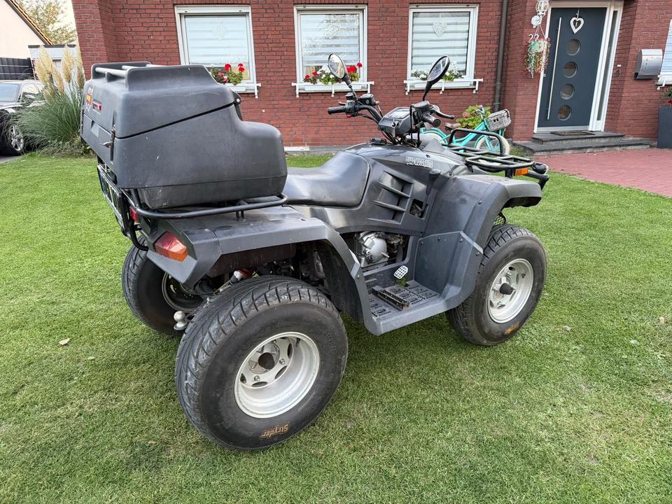Weitere Motorräder Quad Buyang FA-d 300 kein TÜV 2009 — interior