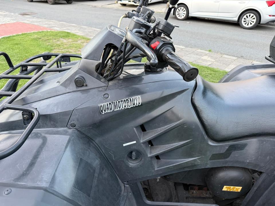 Weitere Motorräder Quad Buyang FA-d 300 kein TÜV 2009 — photo 6