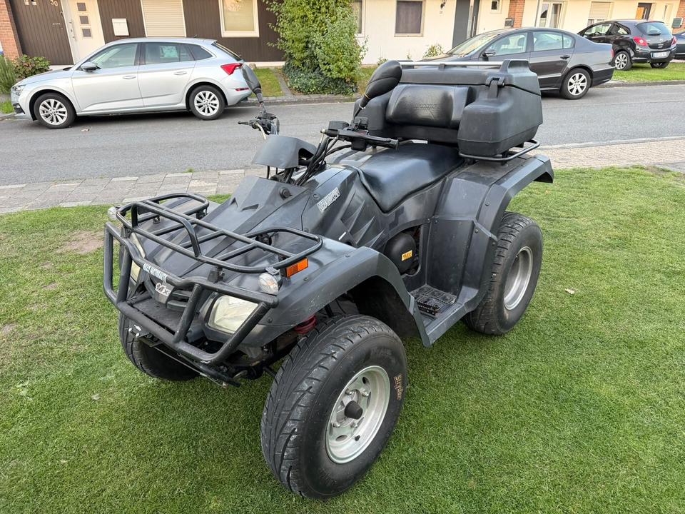 Weitere Motorräder Quad Buyang FA-d 300 kein TÜV 2009 — photo 7