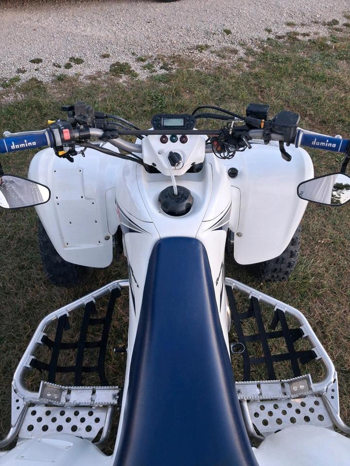 Suzuki LTZ 400 2010 — engine 400 ccm