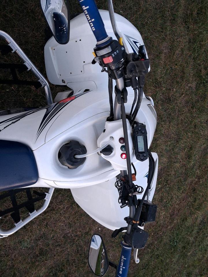 Suzuki LTZ 400 2010 — photo 6