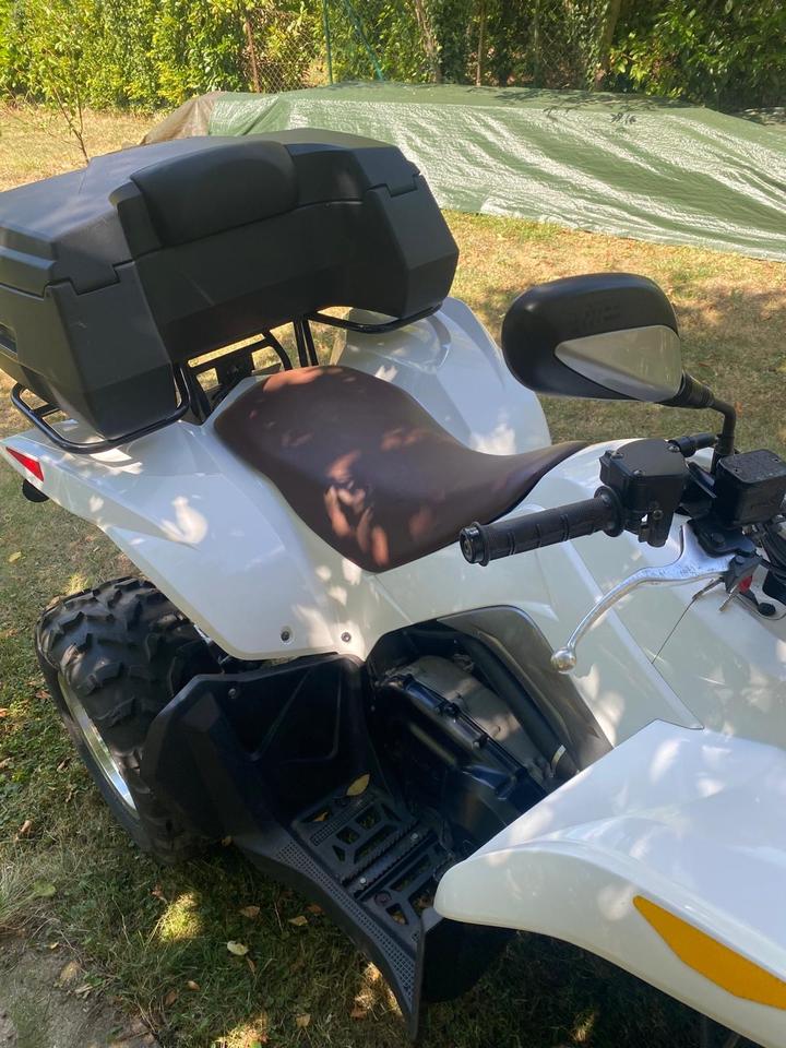 Kymco Quad, EZ , 9736 km, TÜV neu 2011 — rear view