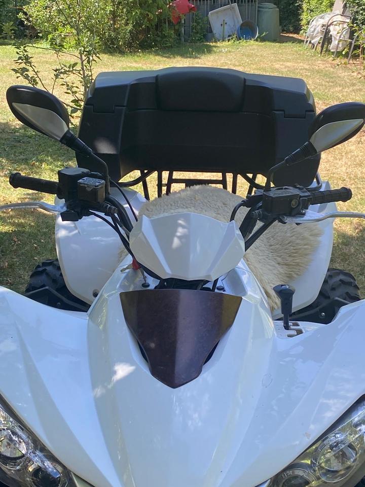 Kymco Quad, EZ , 9736 km, TÜV neu 2011 — interior