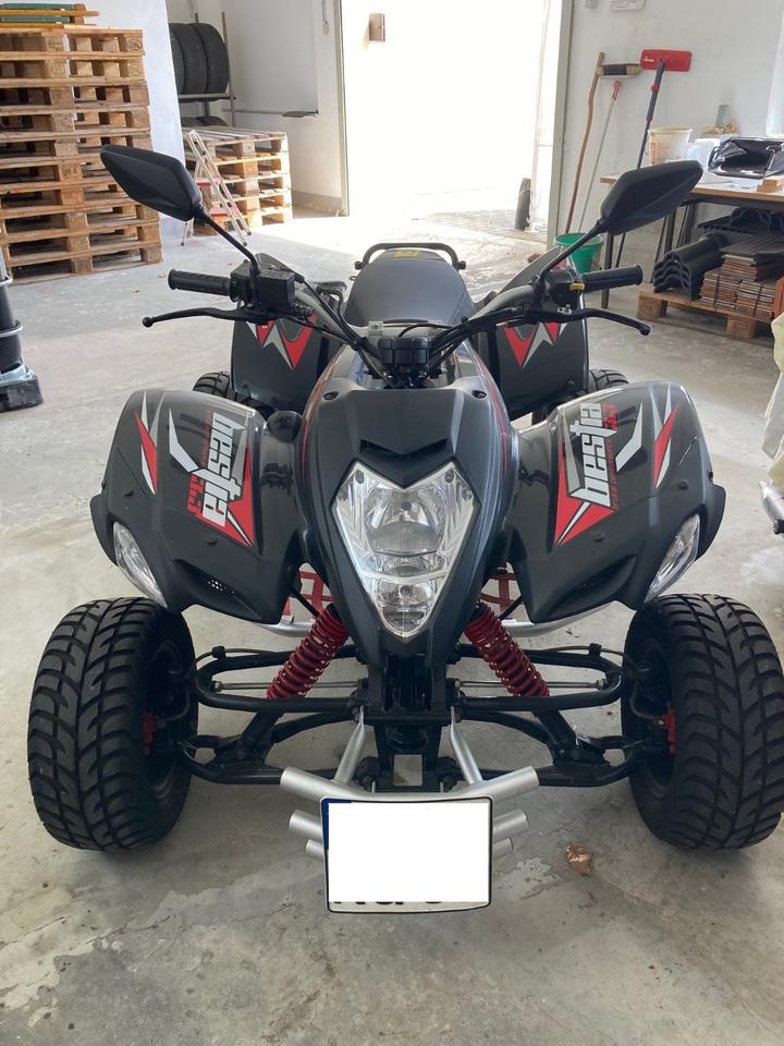 Weitere Motorräder Beeline Quad ATV-A300 2012 — vehicle for AFU Ukraine