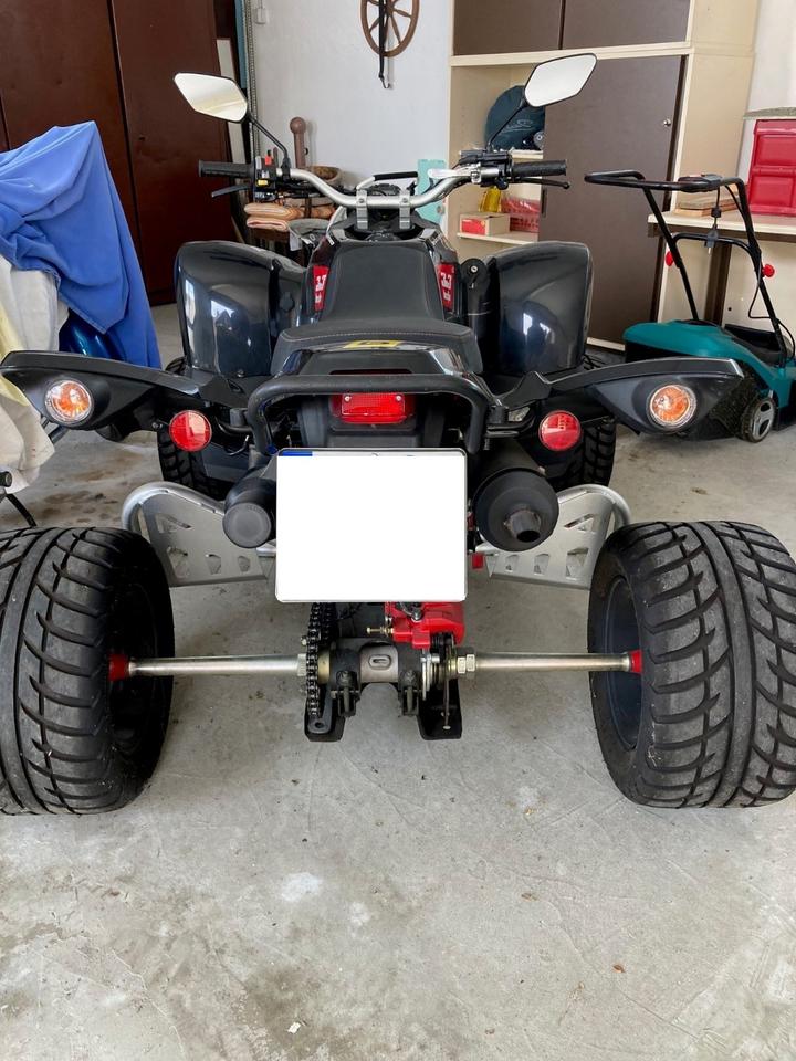 Weitere Motorräder Beeline Quad ATV-A300 2012 — rear view