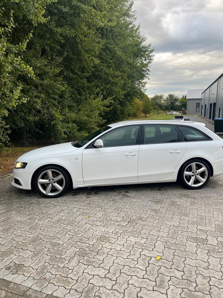 Audi A4 2008 — вигляд ззаду