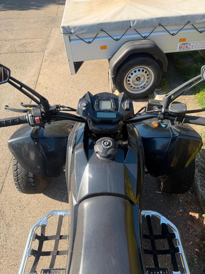 Weitere Motorräder Dinli 450S Quad LOF 2015 — photo 6