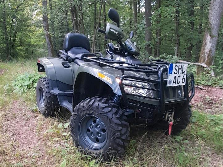  Gelöscht • Arctic Cat 650 H1 3in1 Tausch 2010 — вигляд ззаду