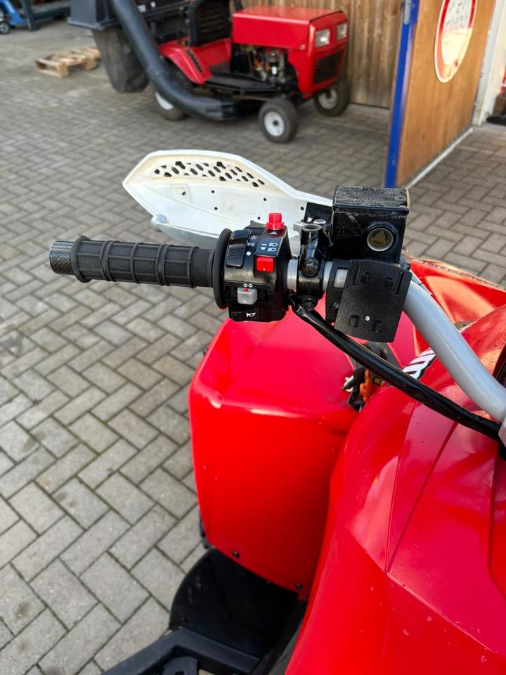 Weitere Motorräder Can Am Renegade 500 G1 ATV Nutzfahrzeug Quad Geländefahrzeug 2009 — photo 8