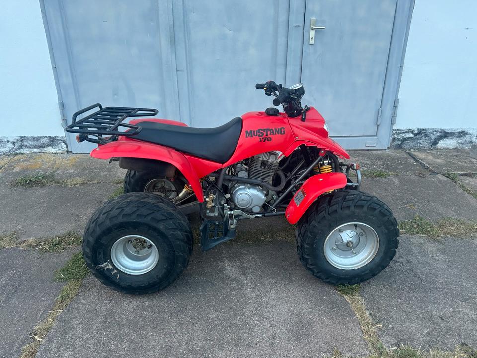 Kreidler Quad Mustang 170 2004 — авто для ЗСУ з Європи