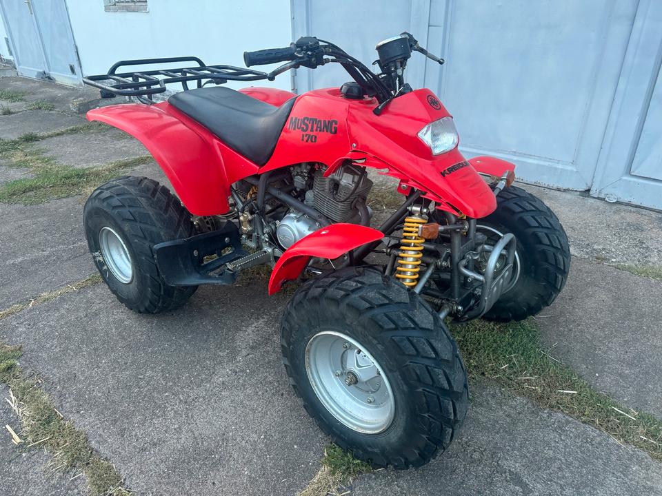  Kreidler Quad Mustang 170 2004 — вигляд ззаду