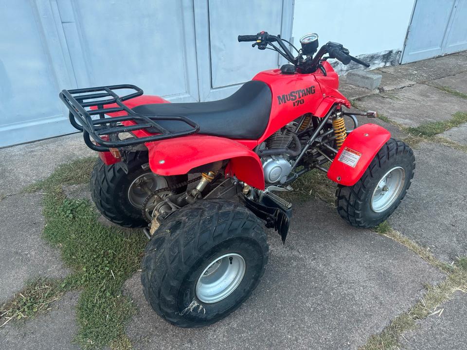  Kreidler Quad Mustang 170 2004 — салон