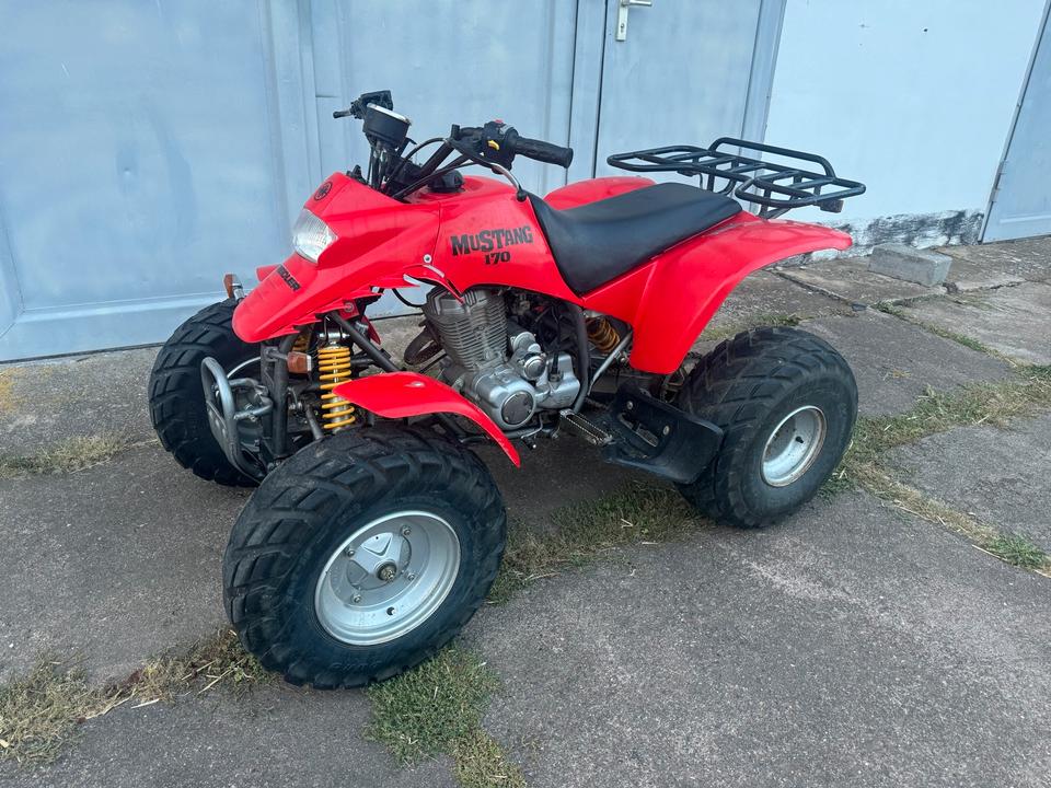  Kreidler Quad Mustang 170 2004 — двигун 164 ccm