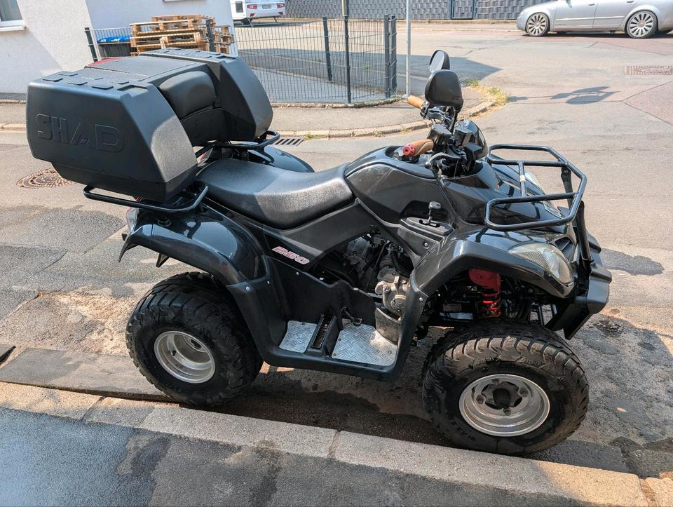 Kymco Verkauft wird ein Kymco mxu 250 Automatik Quad 2012 — interior