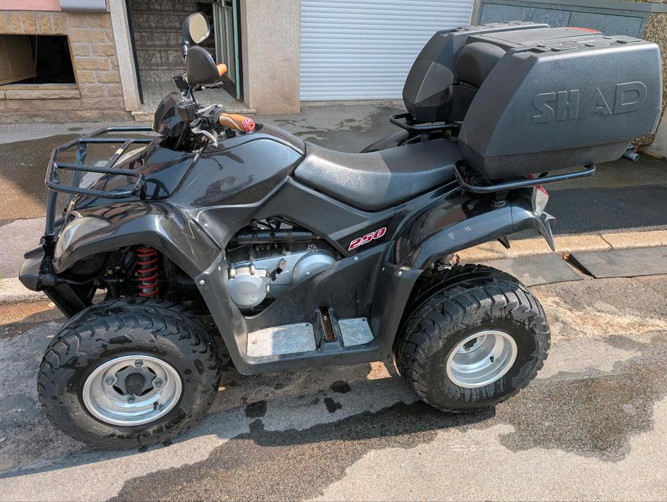 Kymco Verkauft wird ein Kymco mxu 250 Automatik Quad 2012 — engine 250 ccm