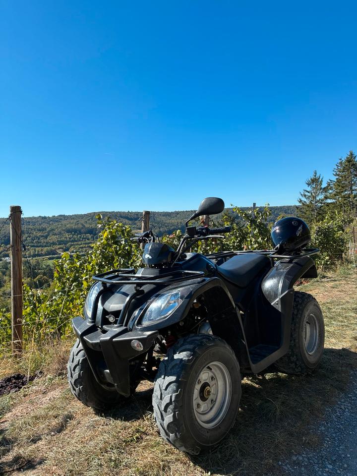 Kymco MXU 50ccm VERSICHERT BIS MÄRZ 2014 — rear view