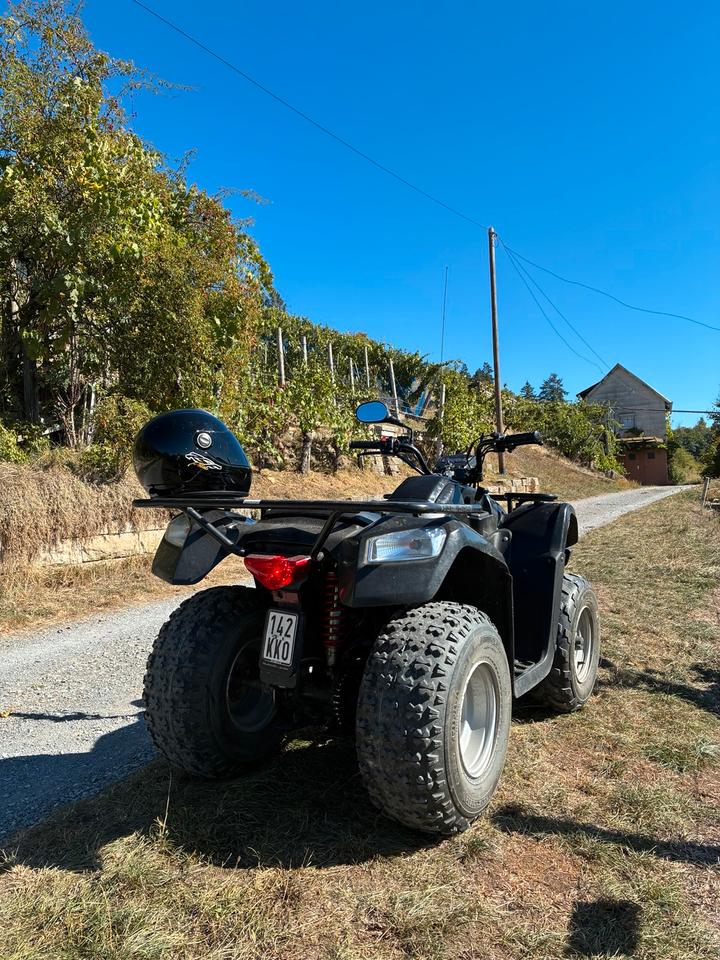 Kymco MXU 50ccm VERSICHERT BIS MÄRZ 2014 — interior