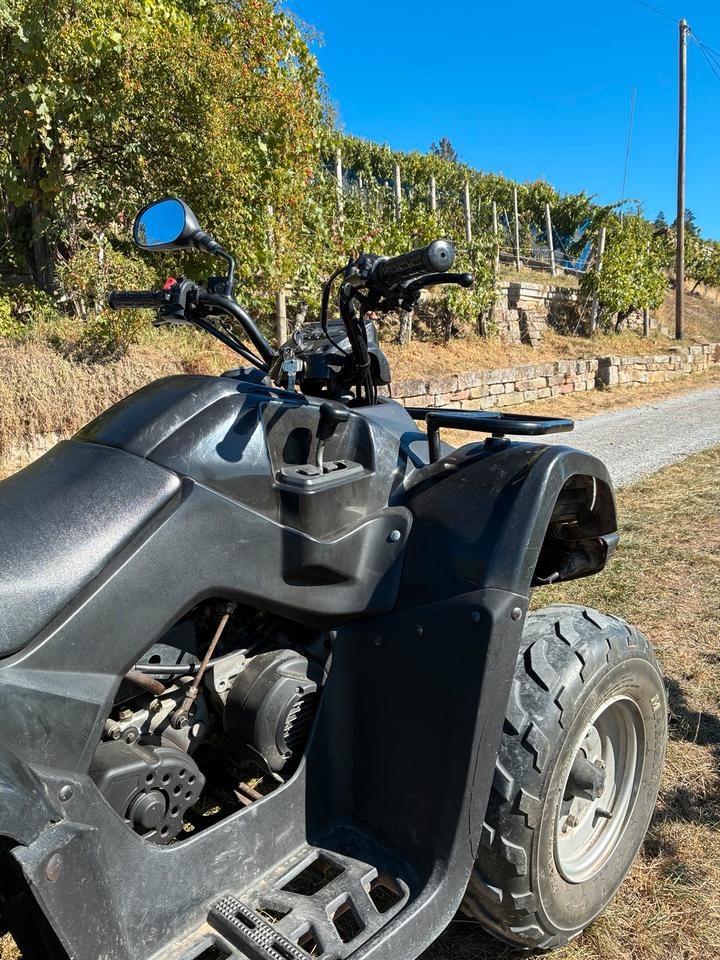 Kymco MXU 50ccm VERSICHERT BIS MÄRZ 2014 — engine 50 ccm