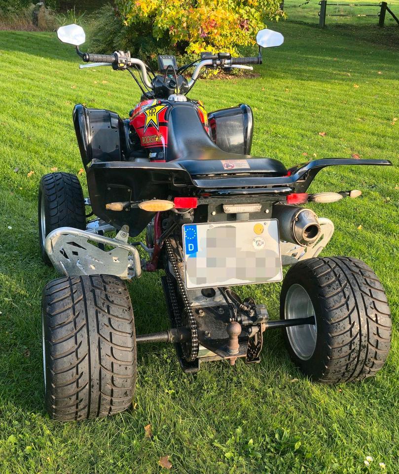 Suzuki LTZ 400 LOF 2008 — rear view