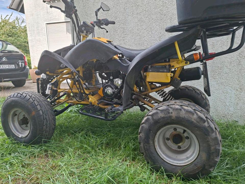 Weitere Motorräder Gelöscht • Quad Shineray xt 200 2009 — rear view