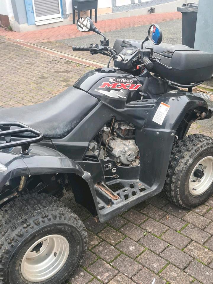 Kymco mxu 250 kwang Yang 2011 — interior