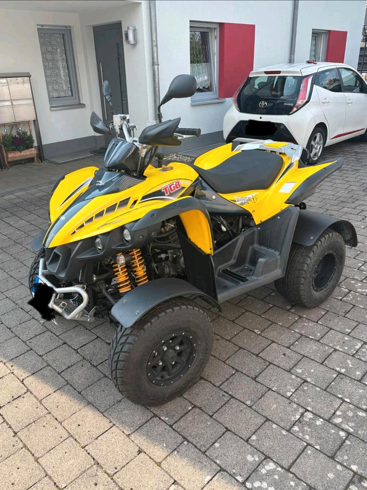 Weitere Motorräder Target TGB 525 2011 — rear view