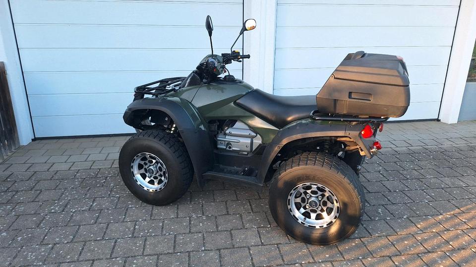 Honda Quad ATV Rincon TRX 680 FA LOF 2008 — rear view