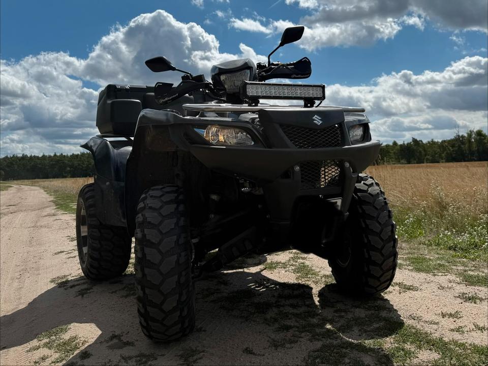 Suzuki Gelöscht • Suzuki King Quad 2010 — вигляд ззаду