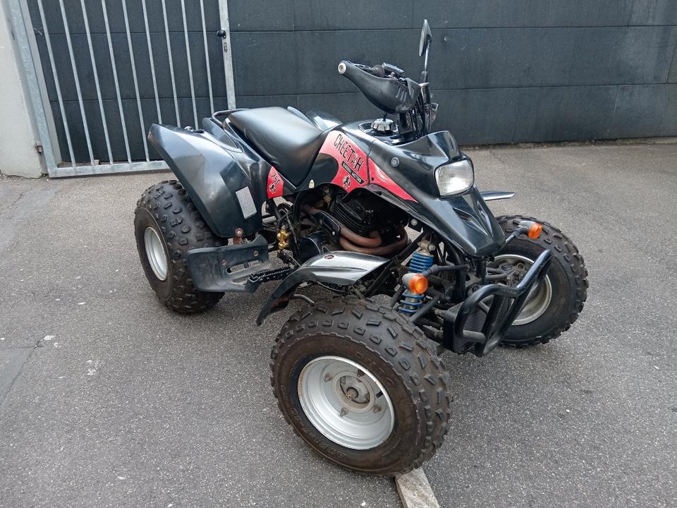 Honda Gelöscht • Quad ATV Barossa Cheetah 250 (+Video) 2005 — rear view