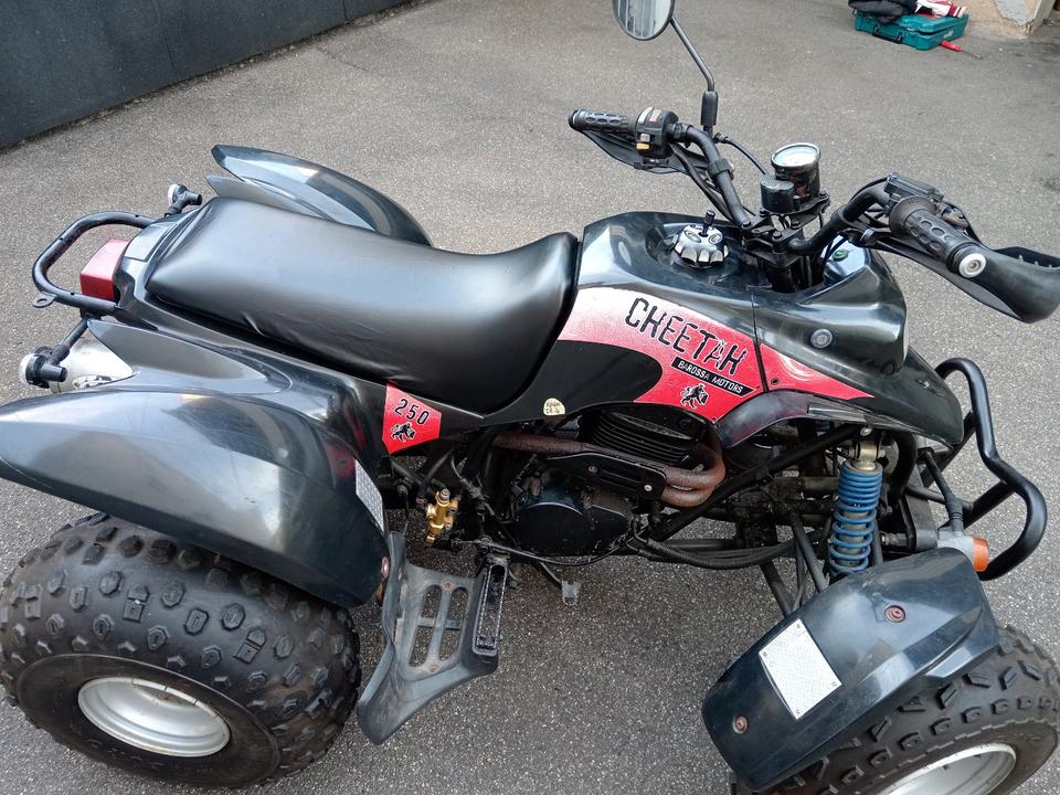 Honda Gelöscht • Quad ATV Barossa Cheetah 250 (+Video) 2005 — photo 5